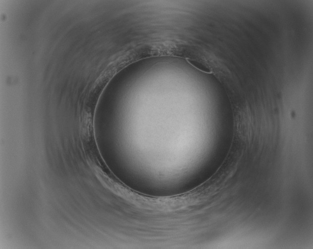 X0000056350038200508291333