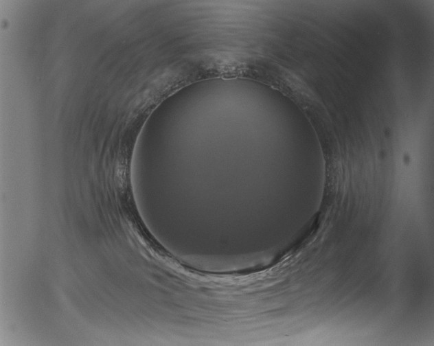 X0000056350039200508291333