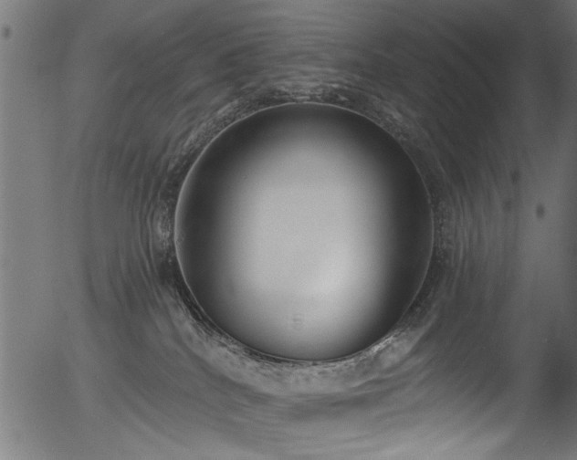 X0000056350040200508291333