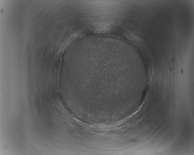 X0000056350041200508291333