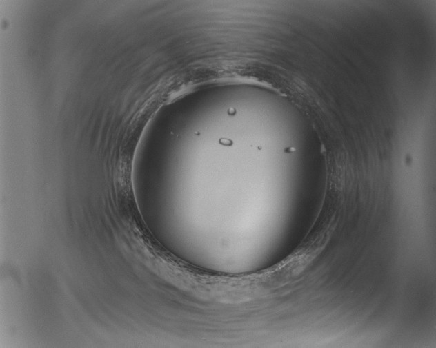 X0000056350044200508291333