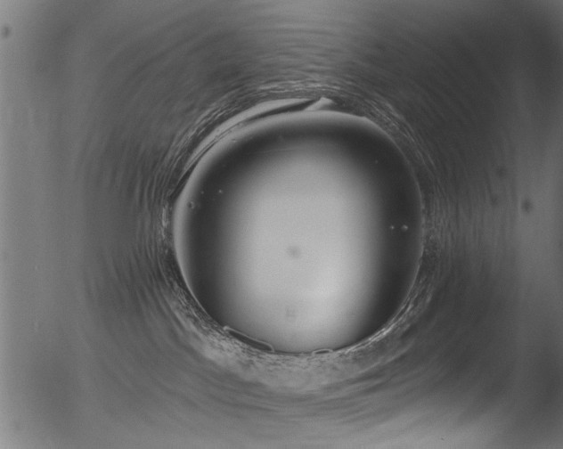 X0000056350045200508291333