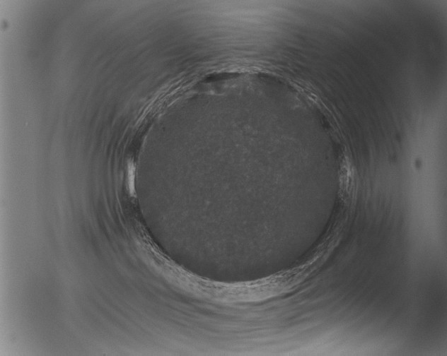 X0000056350046200508291333