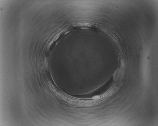 X0000056350048200508291333