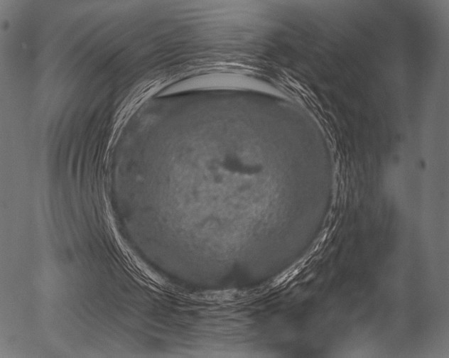 X0000056350049200508291332