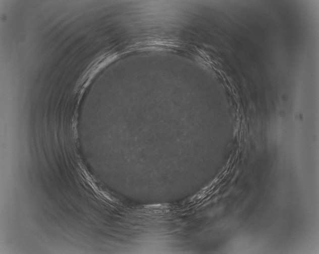 X0000056350050200508291332