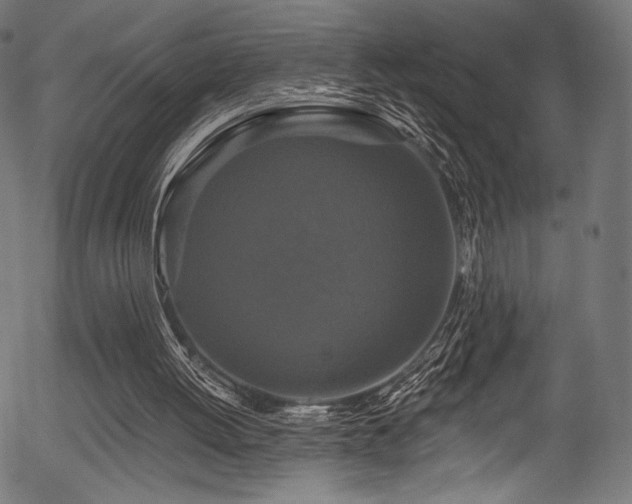 X0000056350052200508291332