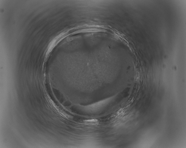 X0000056350053200508291333