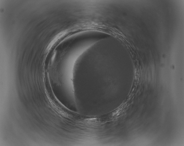 X0000056350054200508291333