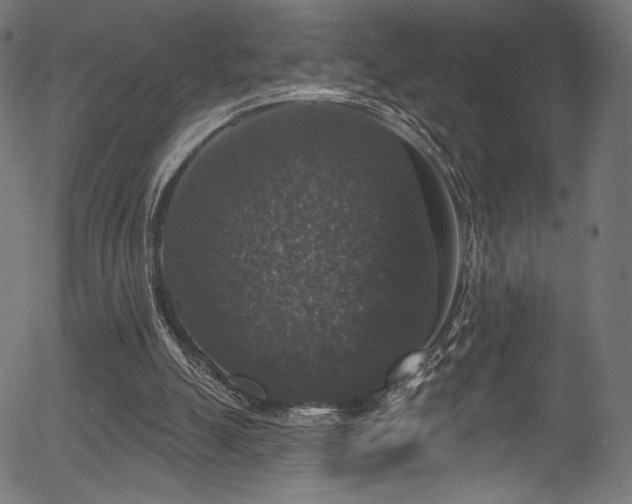 X0000056350055200508291333