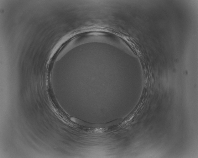 X0000056350056200508291333