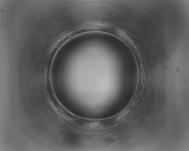 X0000056350058200508291333