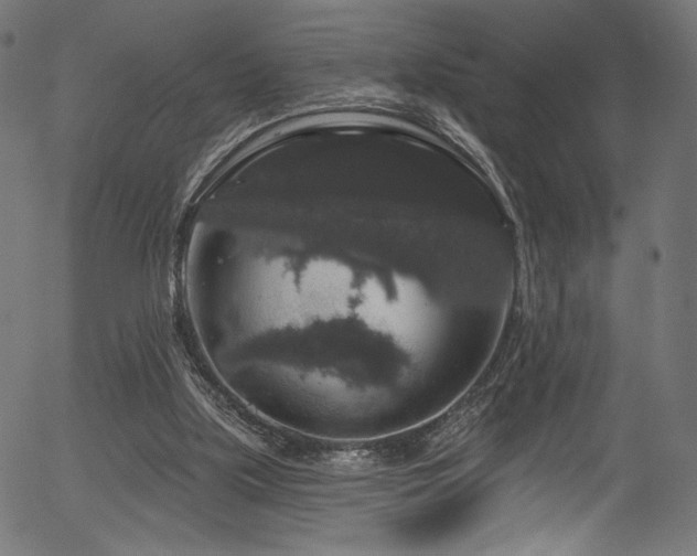 X0000056350059200508291333