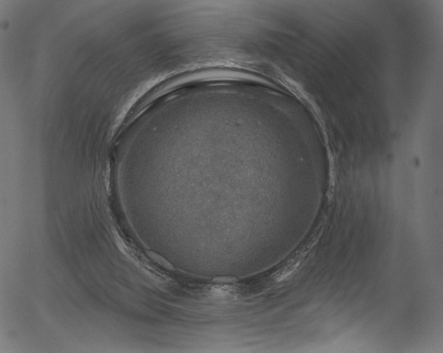 X0000056350060200508291333