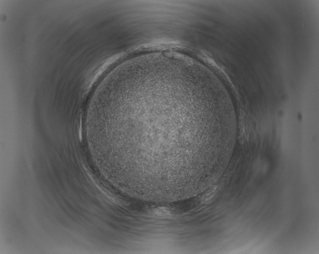 X0000056350062200508291333