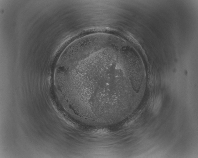 X0000056350063200508291333