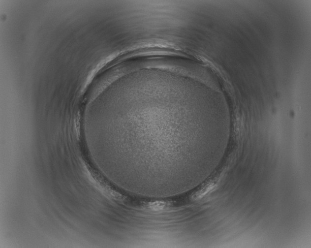 X0000056350064200508291333