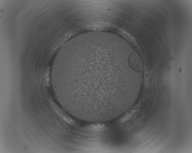 X0000056350065200508291333