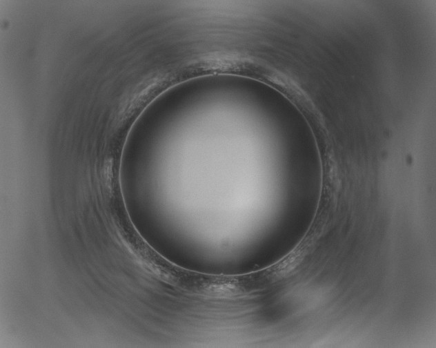 X0000056350066200508291333