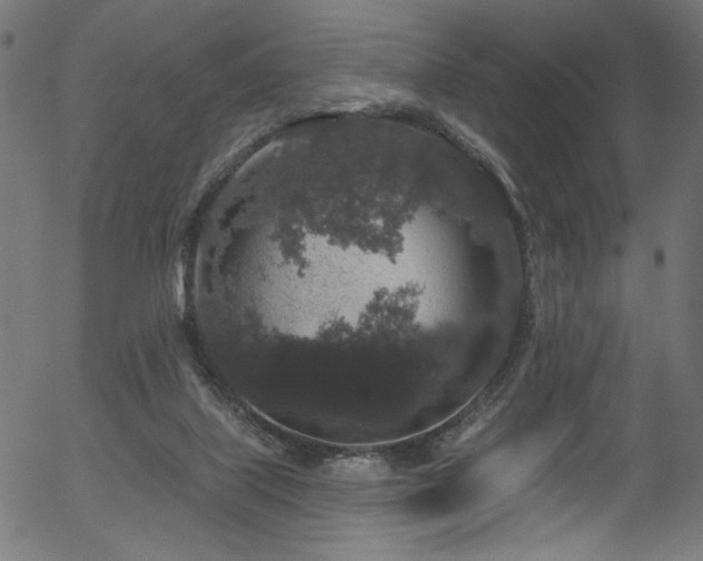 X0000056350067200508291333