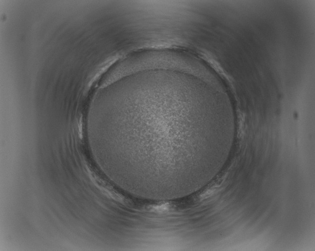 X0000056350068200508291333