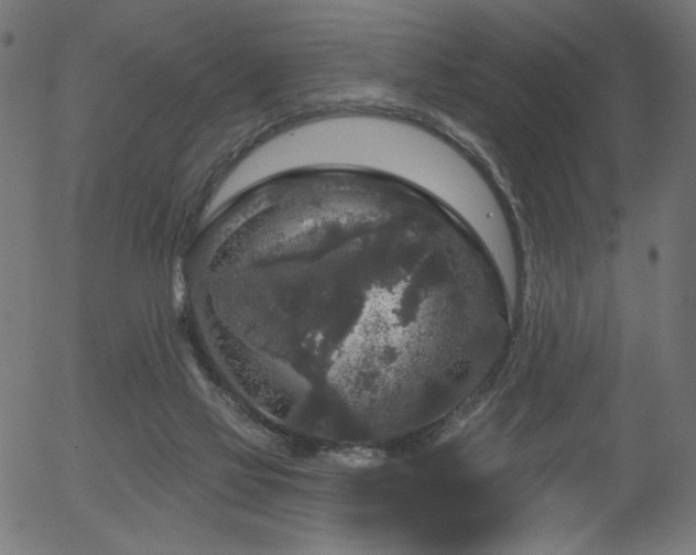 X0000056350069200508291333