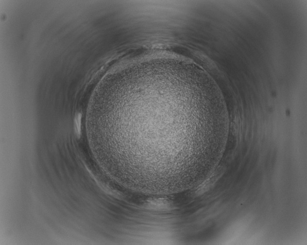 X0000056350070200508291333