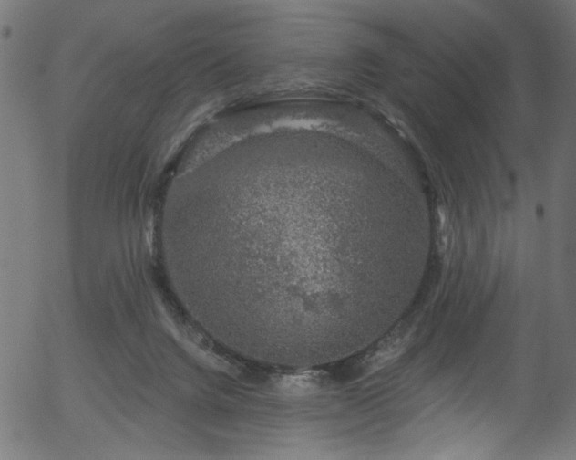 X0000056350072200508291333