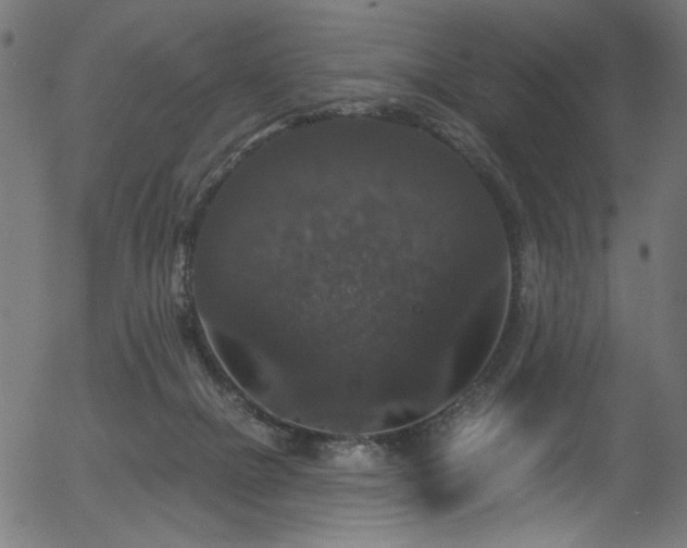 X0000056350073200508291333