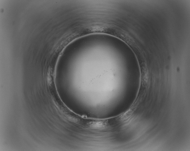 X0000056350074200508291333