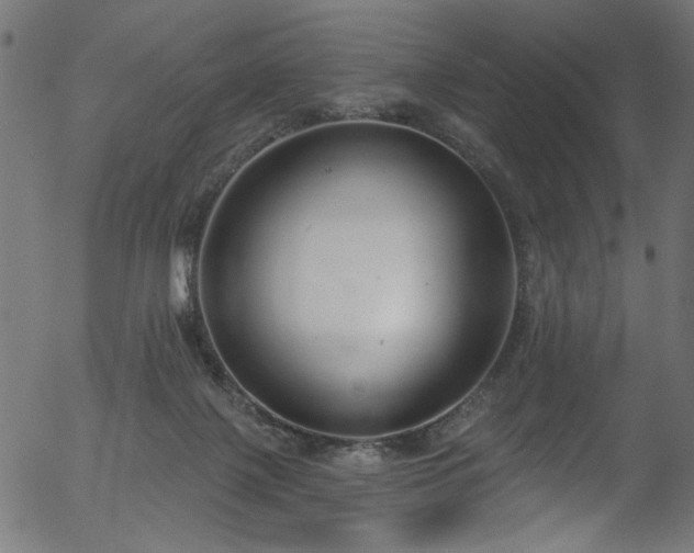 X0000056350075200508291333