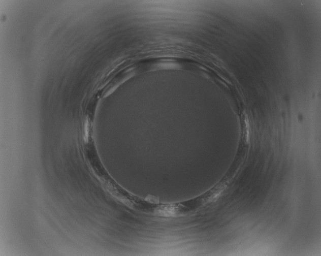 X0000056350076200508291333