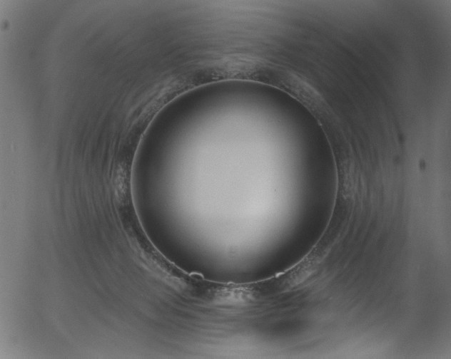 X0000056350077200508291333