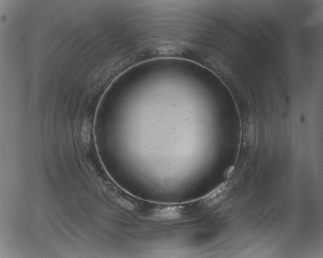 X0000056350078200508291333