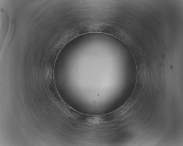 X0000056350079200508291333