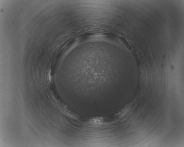 X0000056350080200508291333