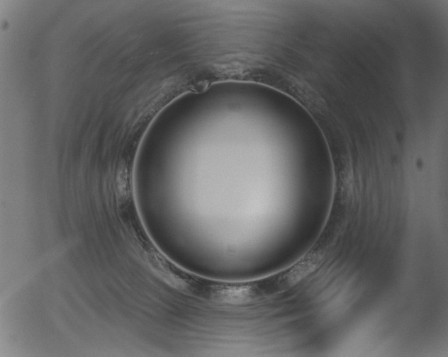 X0000056350081200508291333