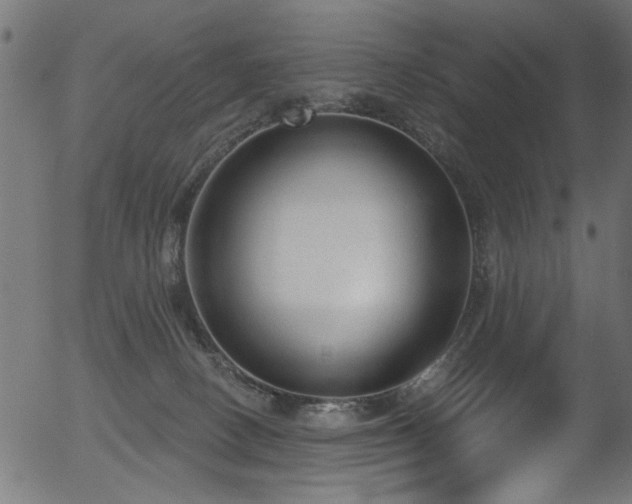 X0000056350082200508291333