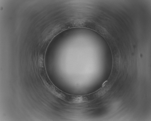 X0000056350083200508291333