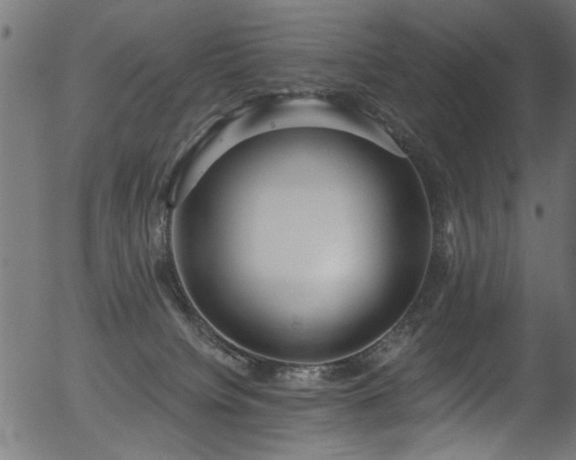 X0000056350084200508291333