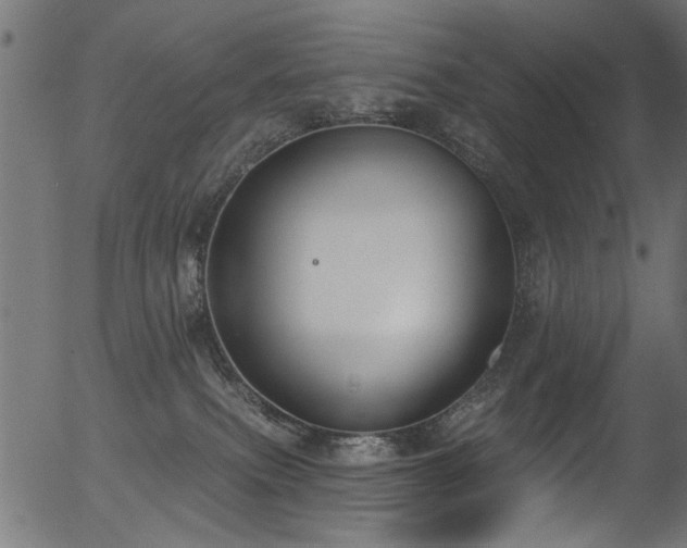 X0000056350087200508291333