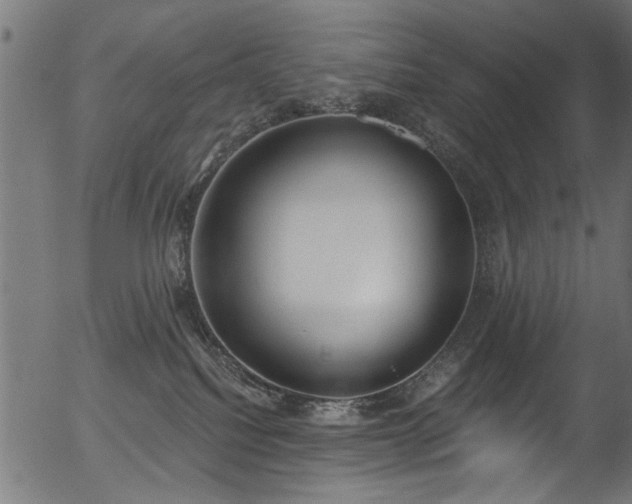 X0000056350088200508291333