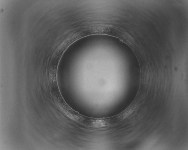 X0000056350091200508291333