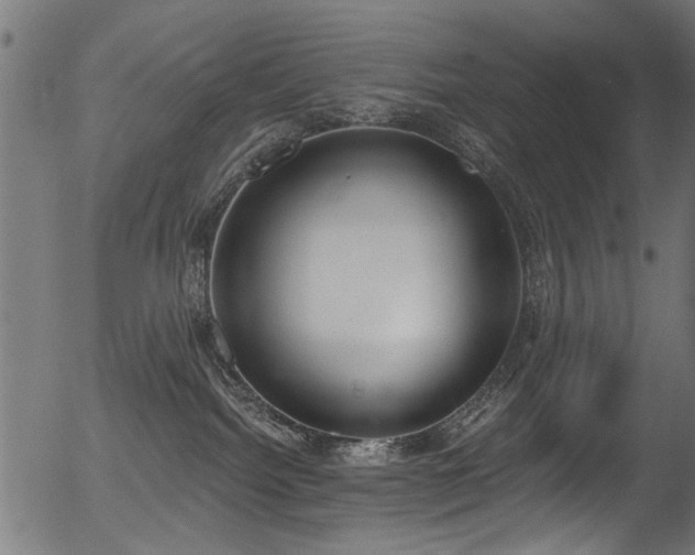 X0000056350092200508291333