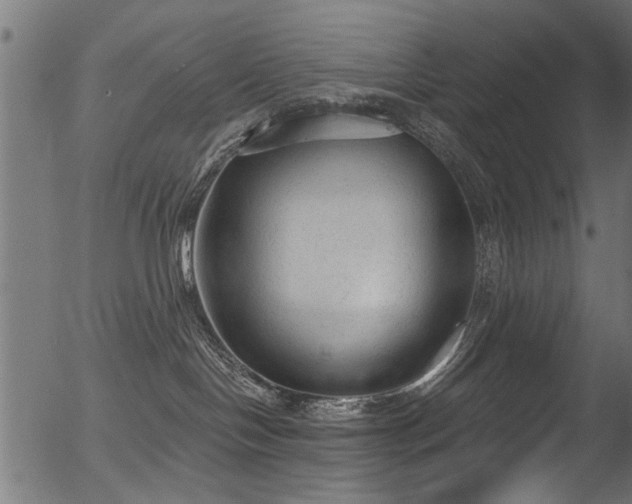 X0000056350094200508291333