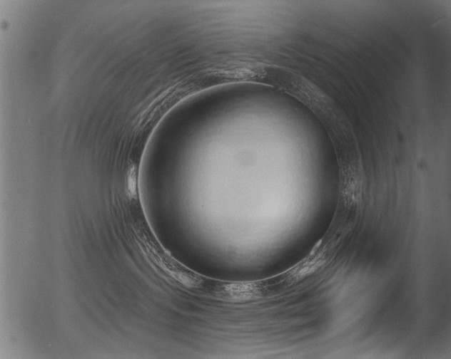 X0000056350095200508291333