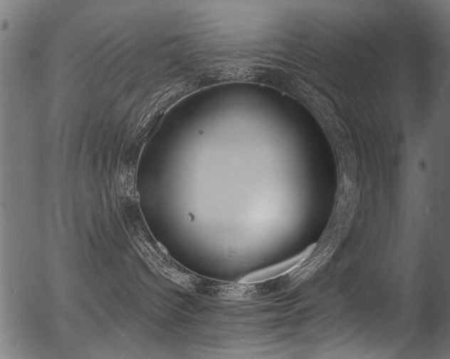 X0000056350096200508291333