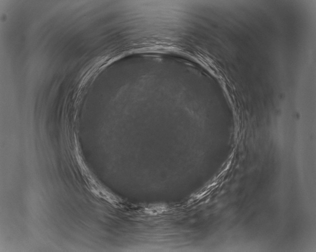 X0000056350097200508291332