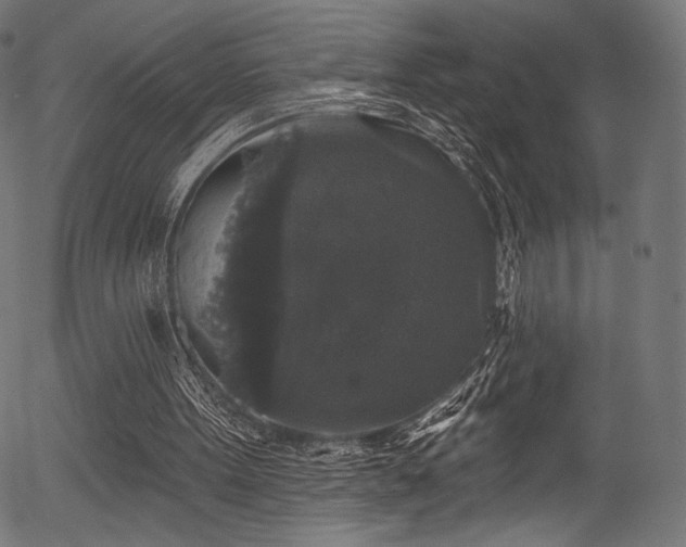 X0000056350099200508291332