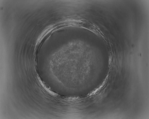 X0000056350101200508291332